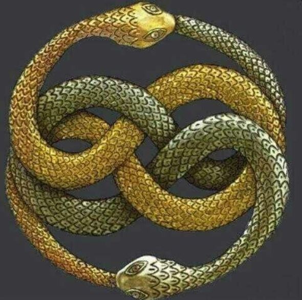 Significato E Simbologia Del Serpente Simboli Sulweb